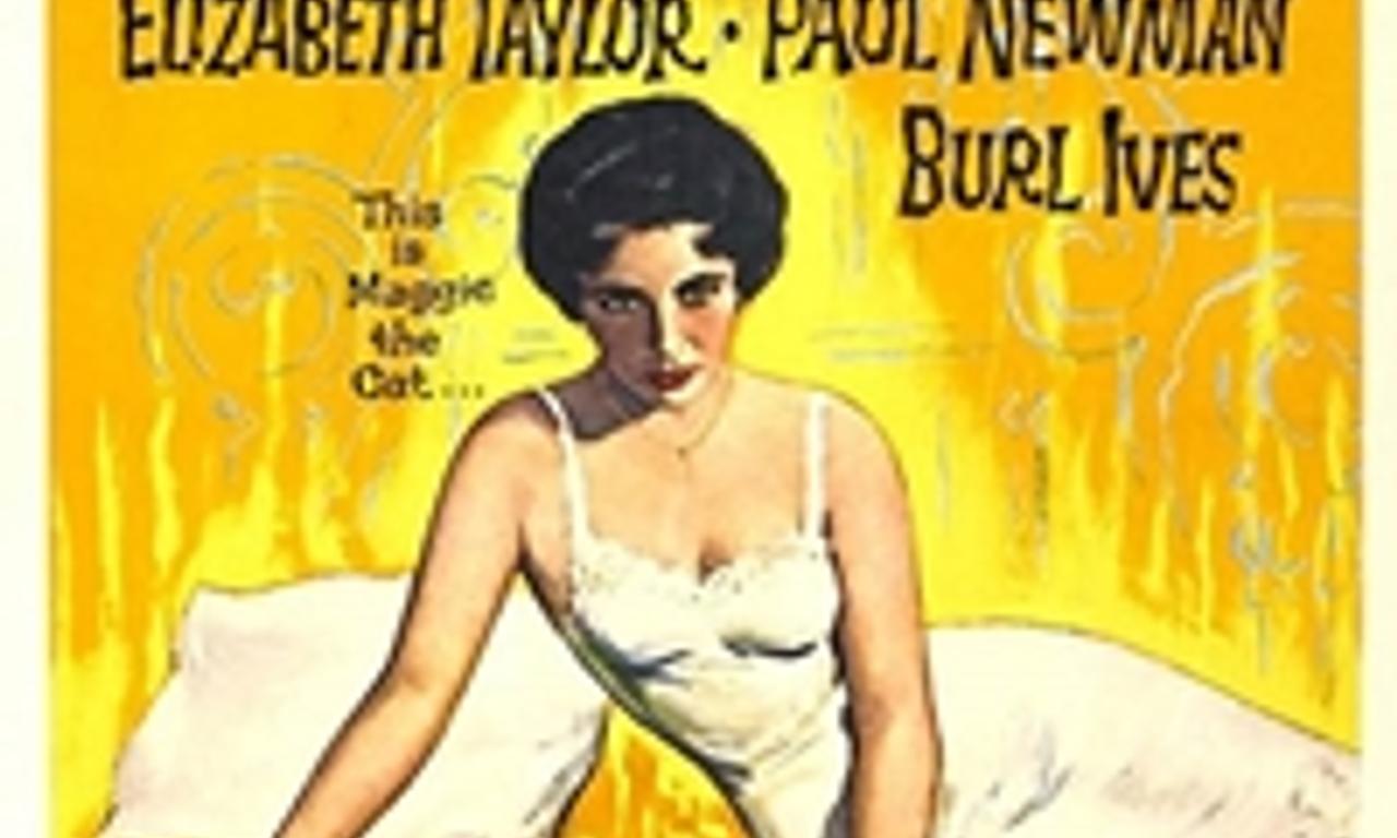 header image for Cat on a Hot Tin Roof