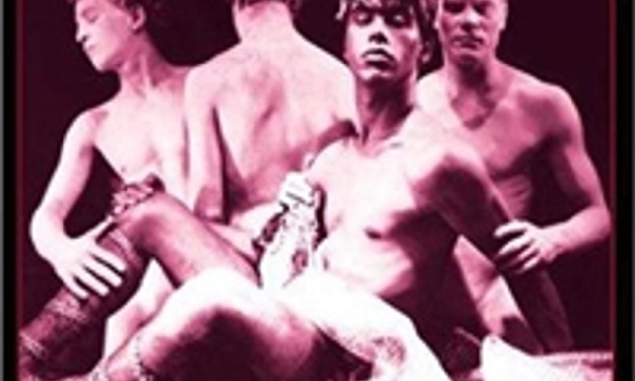 header image for Pink Narcissus