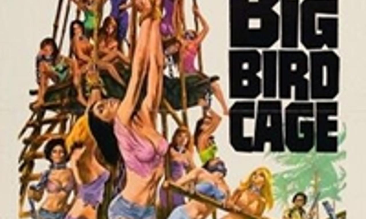 header image for The Big Bird Cage