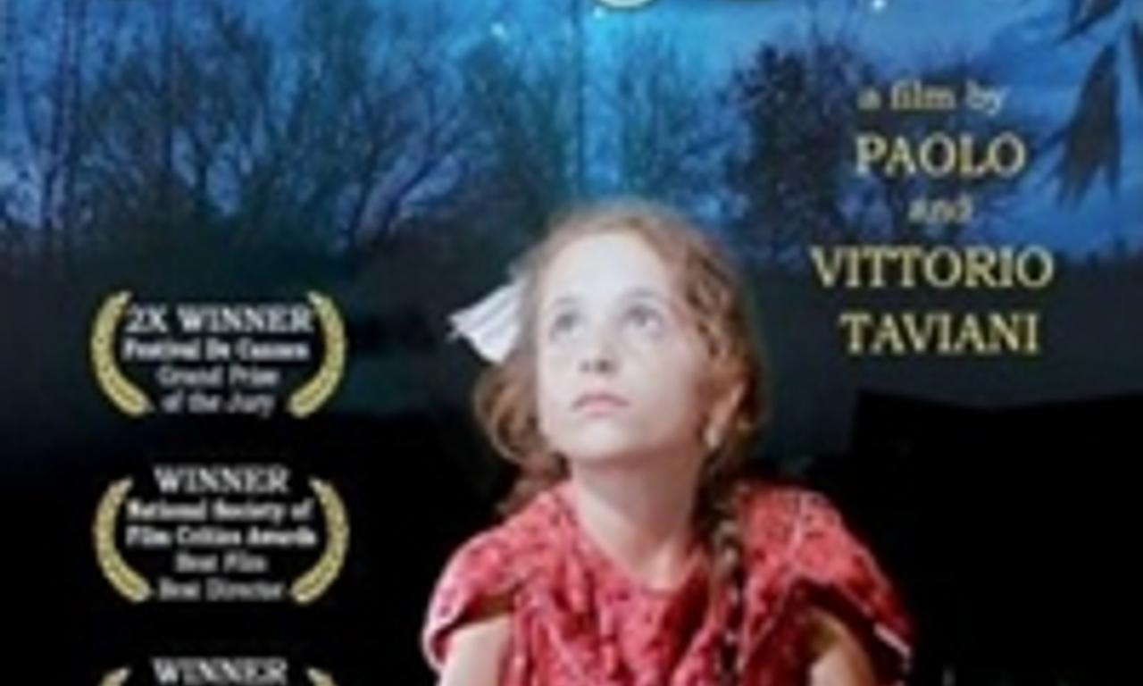 header image for The Night of the Shooting Stars