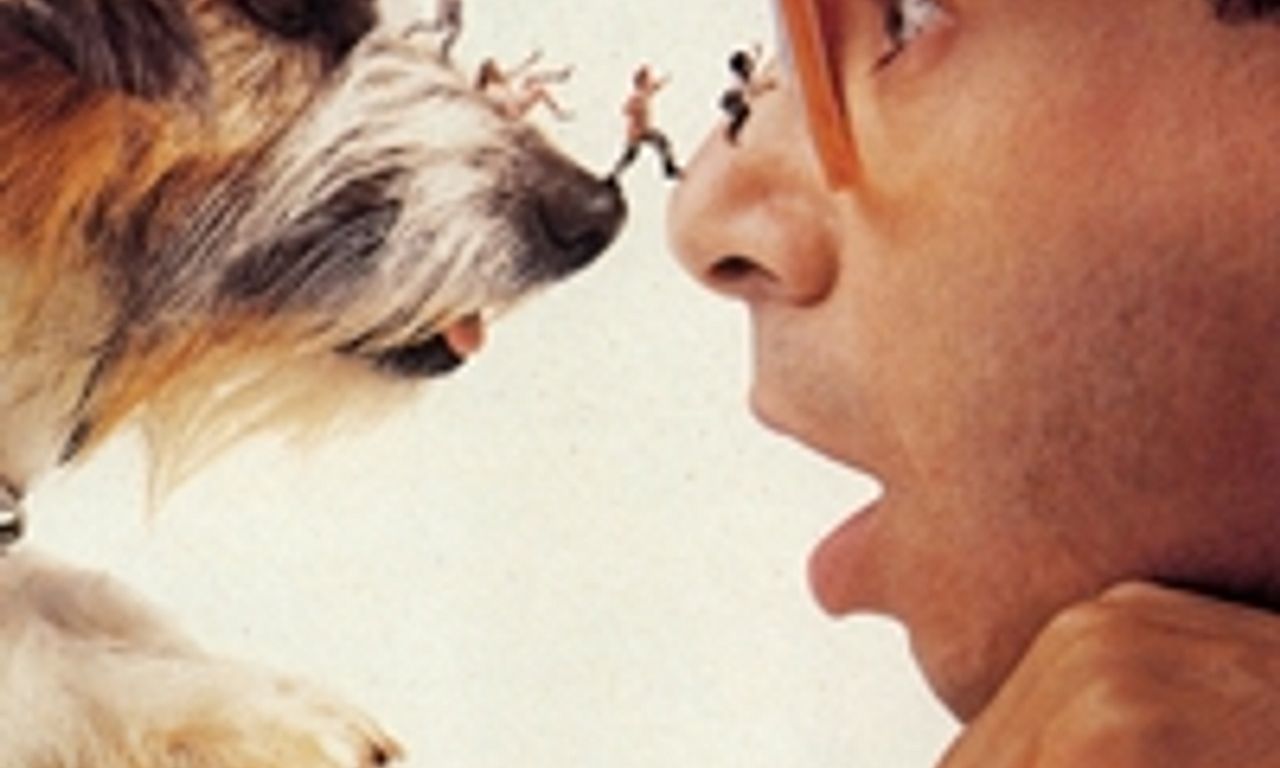 header image for Honey, I Shrunk the Kids