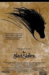 The Black Stallion