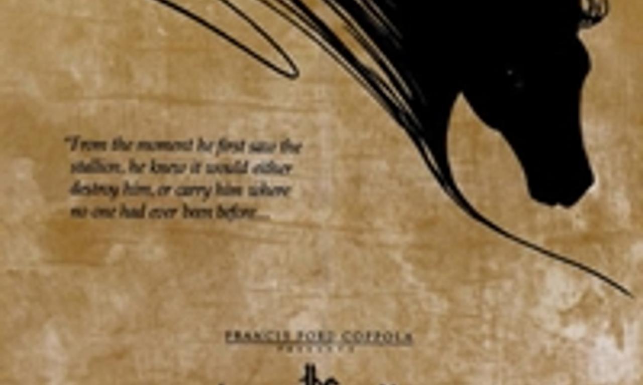 header image for The Black Stallion