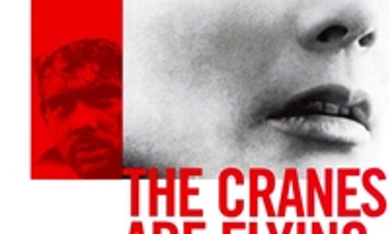 header image for The Cranes Are Flying
