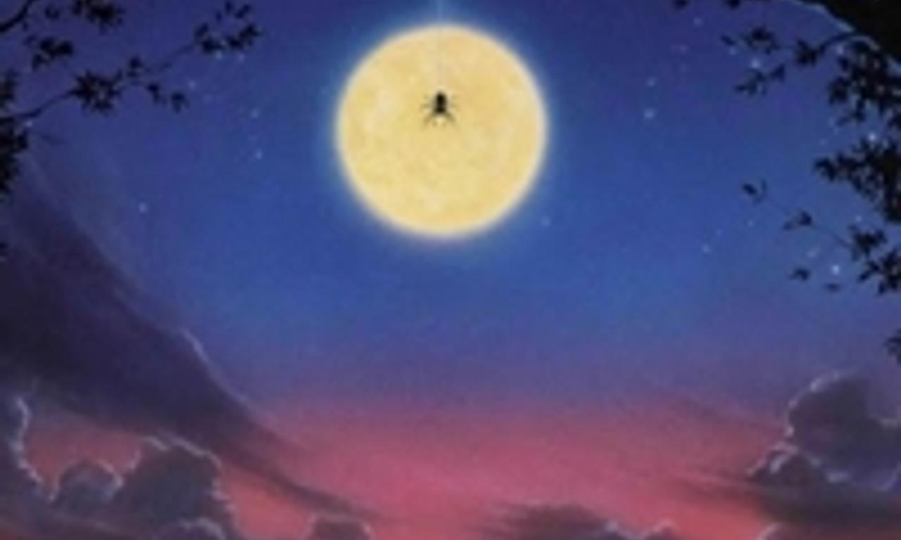 header image for Arachnophobia