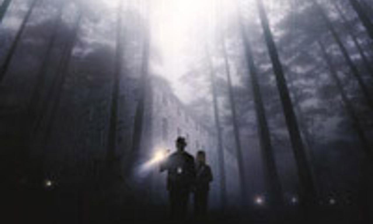 header image for Freedomland