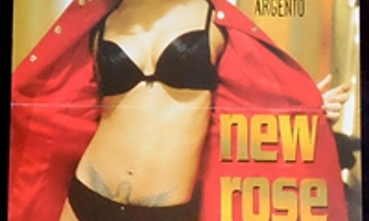 header image for New Rose Hotel