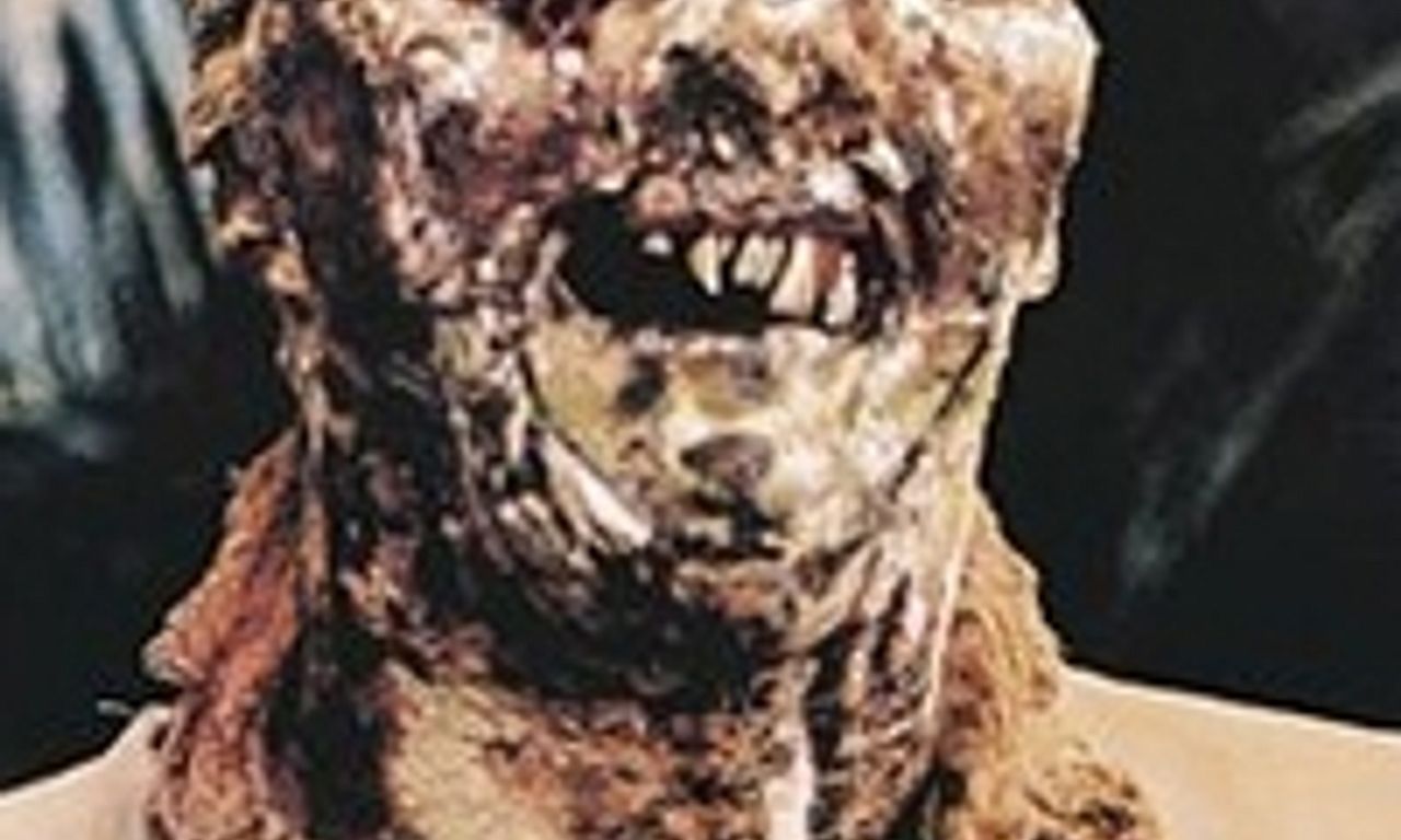 header image for Zombie Flesh Eaters