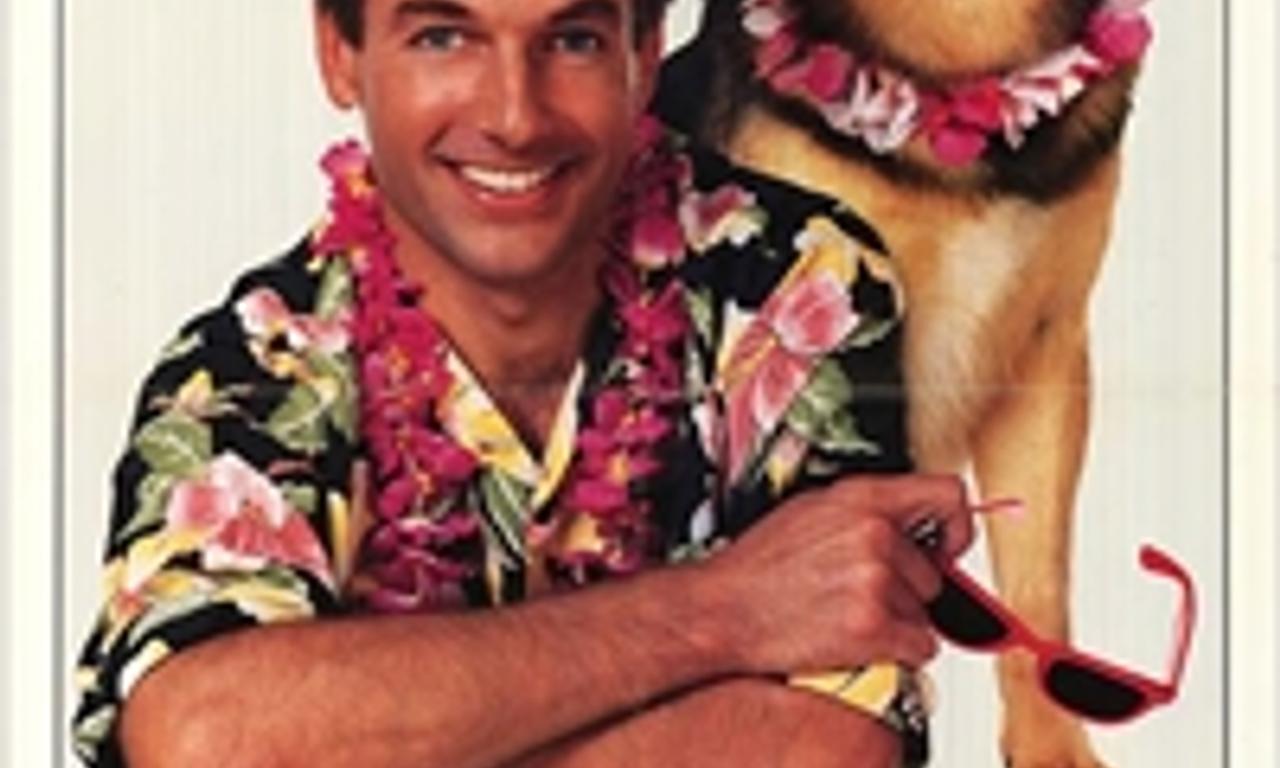 header image for Summer School