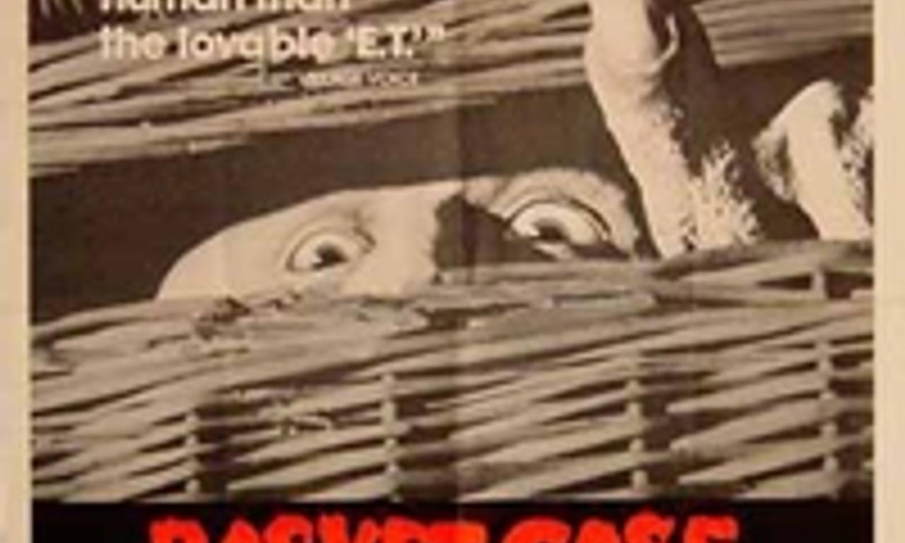header image for Basket Case