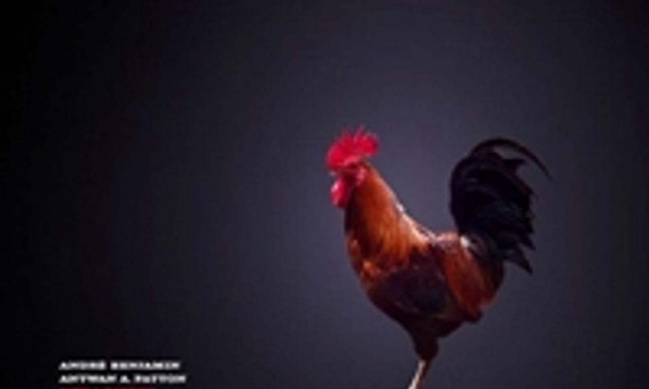 header image for Idlewild