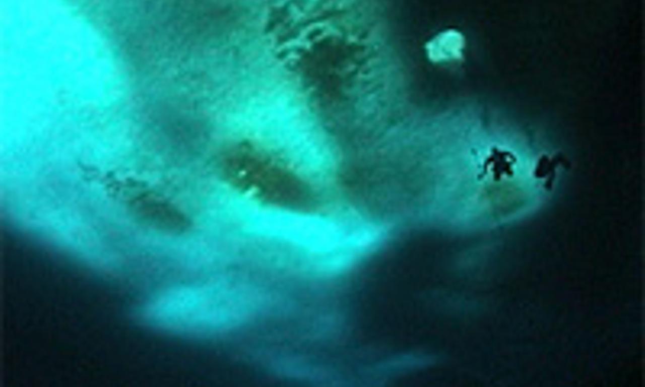 header image for The Wild Blue Yonder