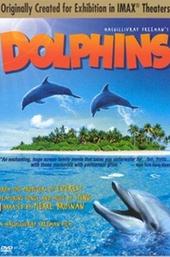 Dolphins