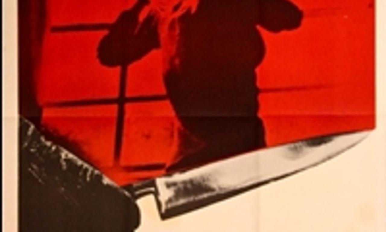 header image for The Bird with the Crystal Plumage