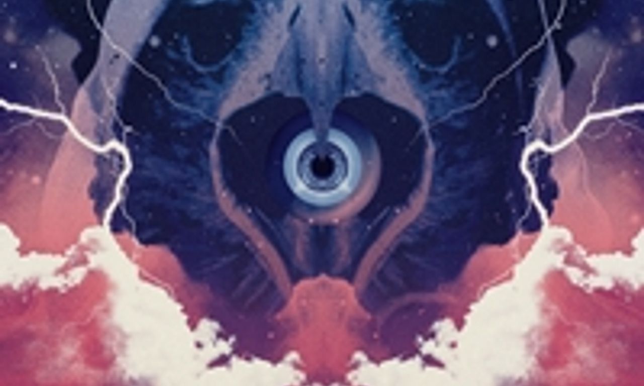 header image for The Visitor