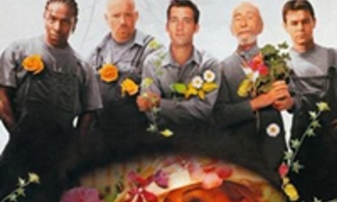 header image for Greenfingers