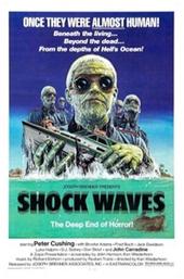 Shock Waves