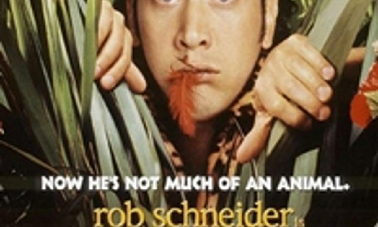 header image for The Animal