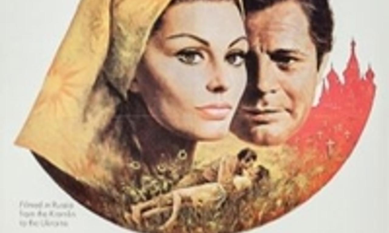 header image for Sunflower