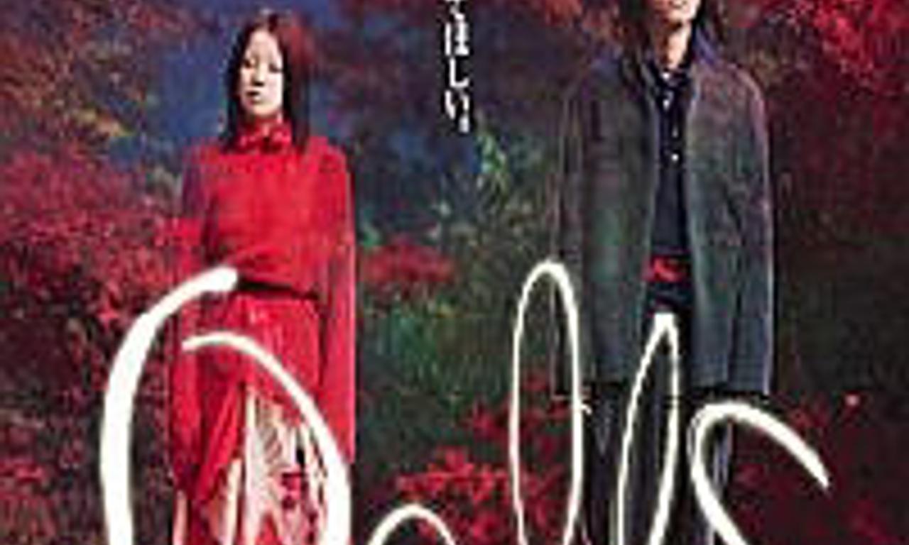 header image for Dolls