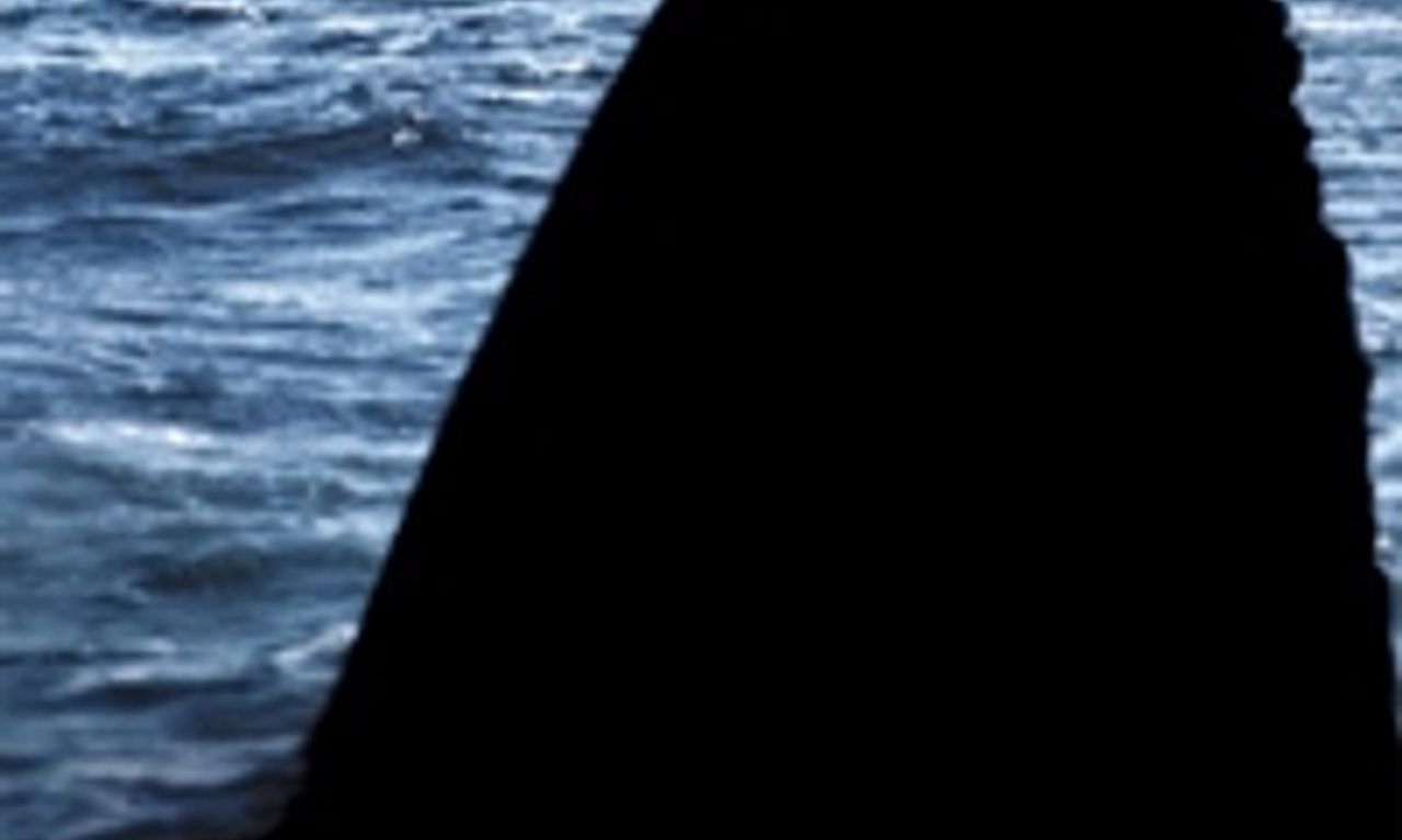 header image for Open Water