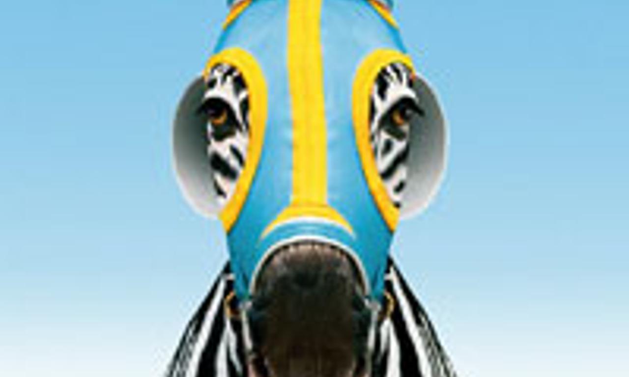 header image for Racing Stripes