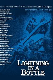 Lightning in a Bottle