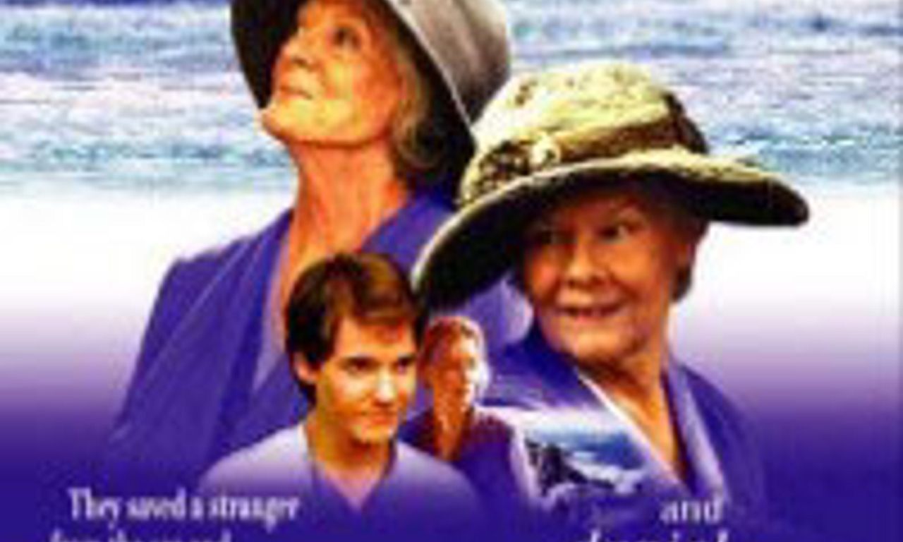 header image for Ladies in Lavender