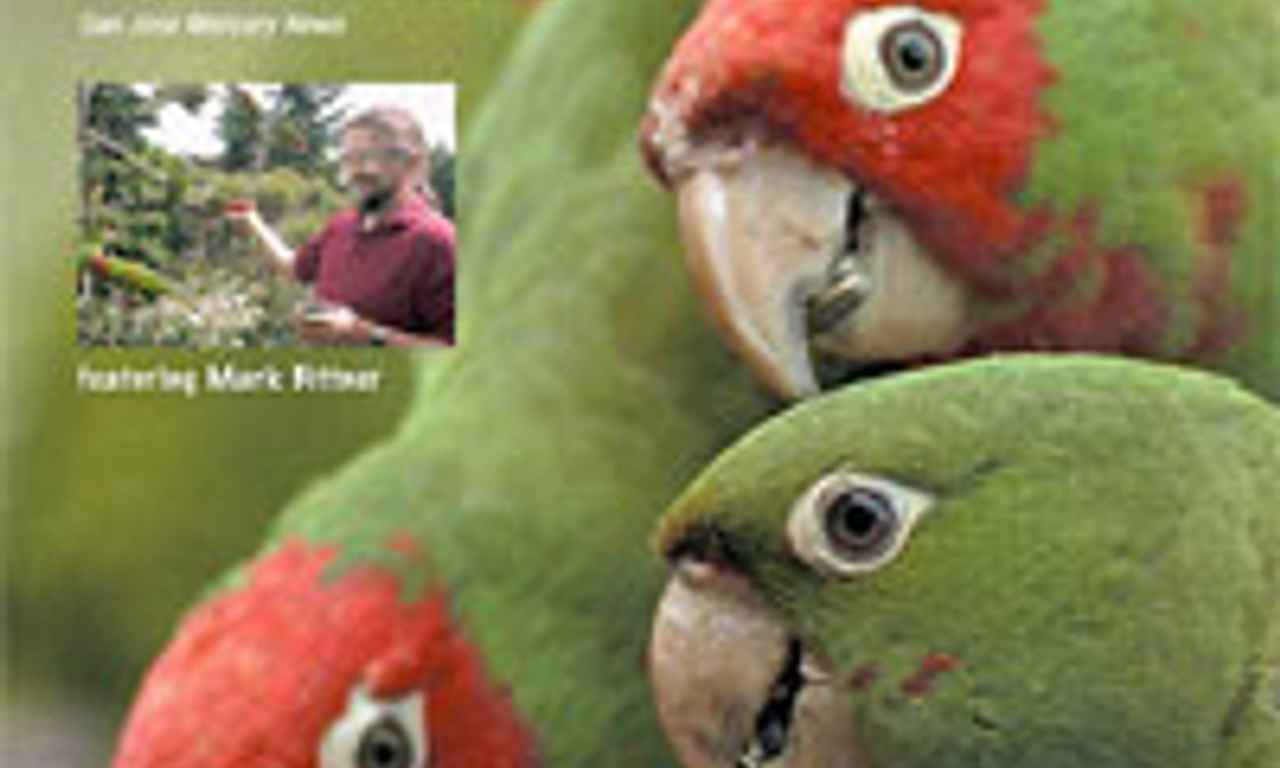 The Wild Parrots of Telegraph Hill - Where to Watch and Stream Online