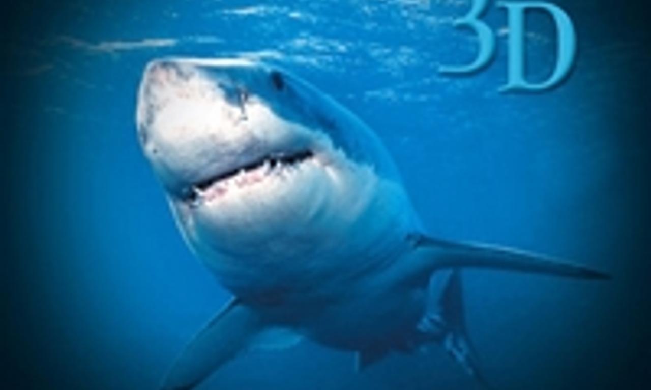 header image for Sharks 3D
