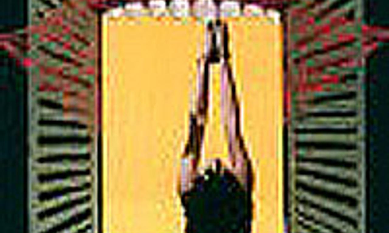 header image for The House of the Laughing Windows