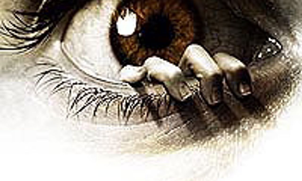 header image for The Eye