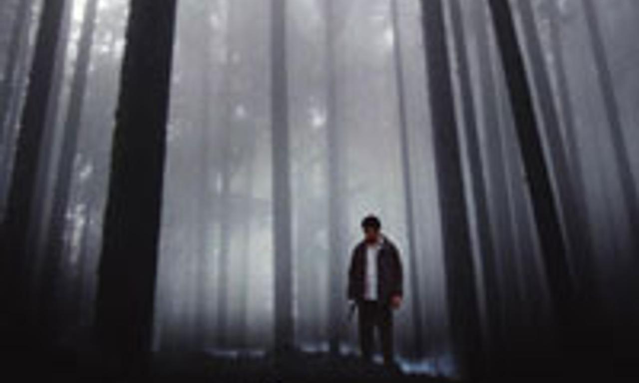 header image for The Aura