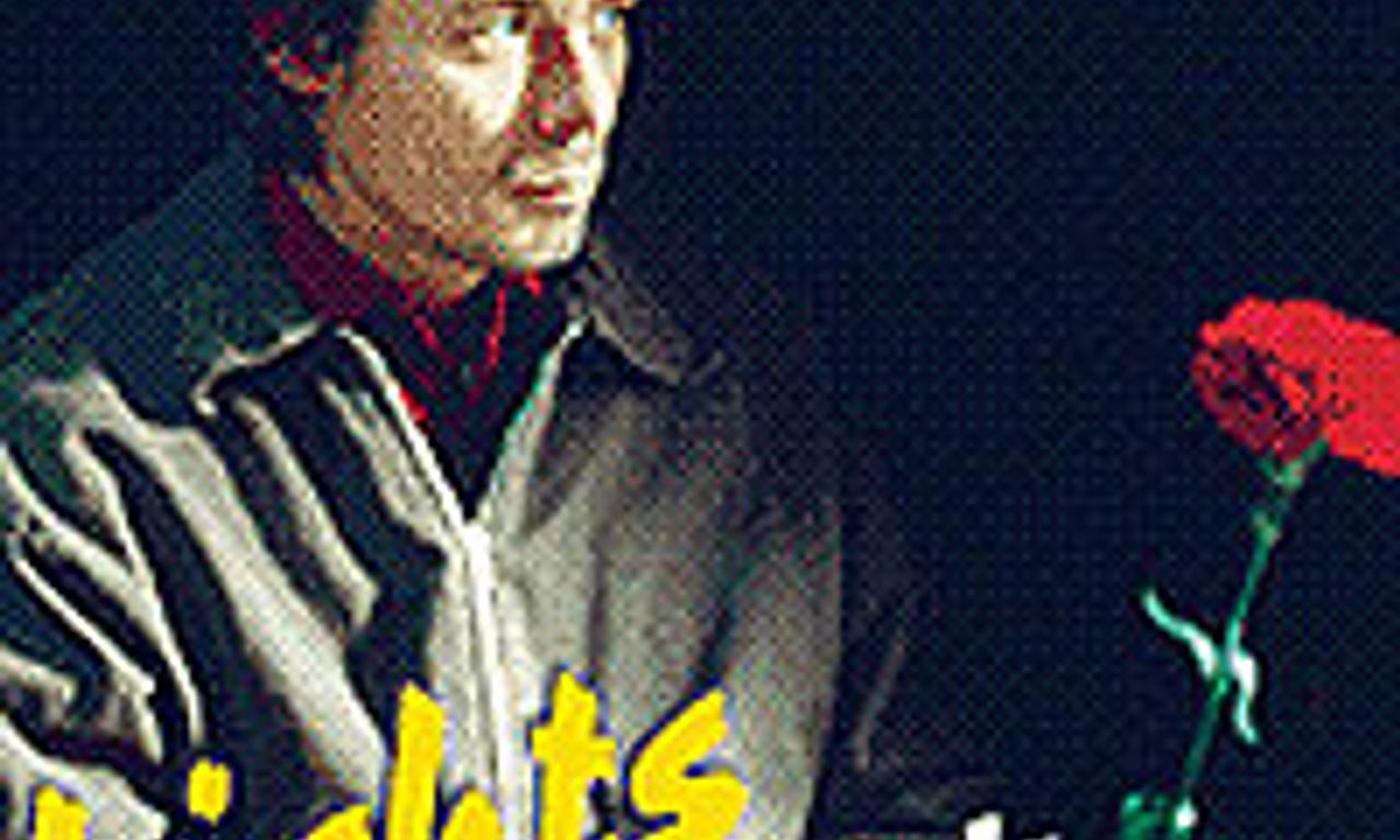 header image for Lights in the Dusk