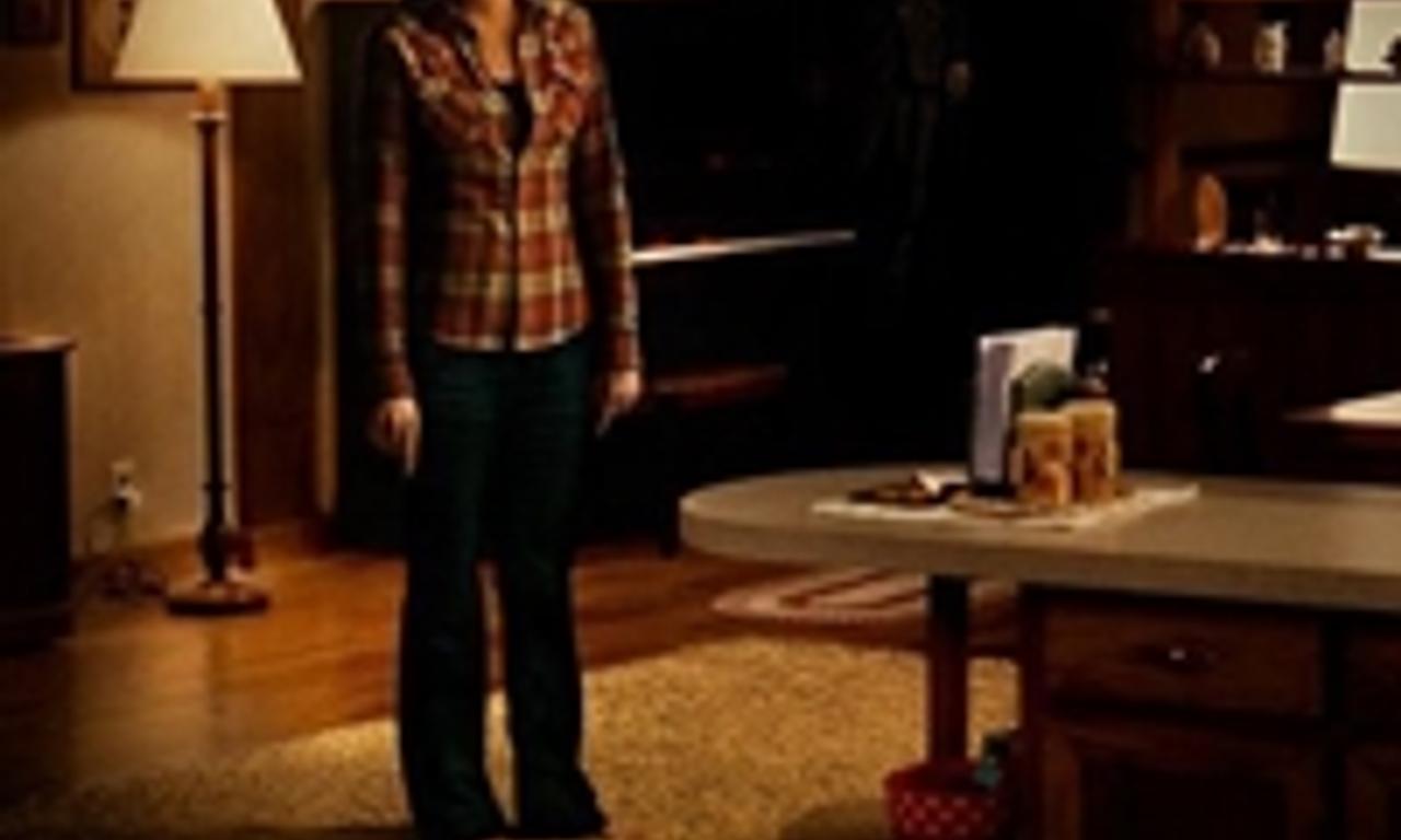 header image for The Strangers