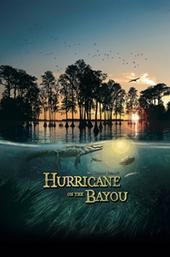 Hurricane on the Bayou