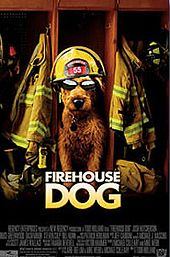 Firehouse Dog