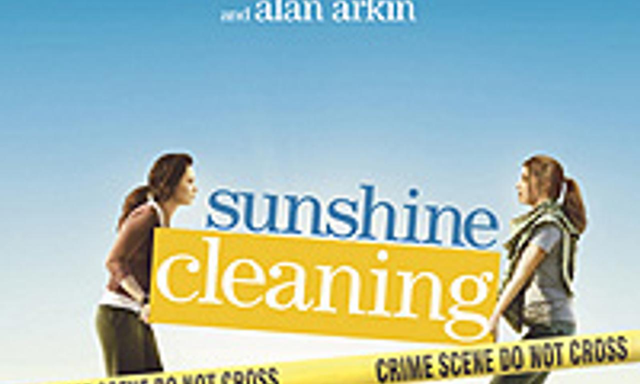 header image for Sunshine Cleaning