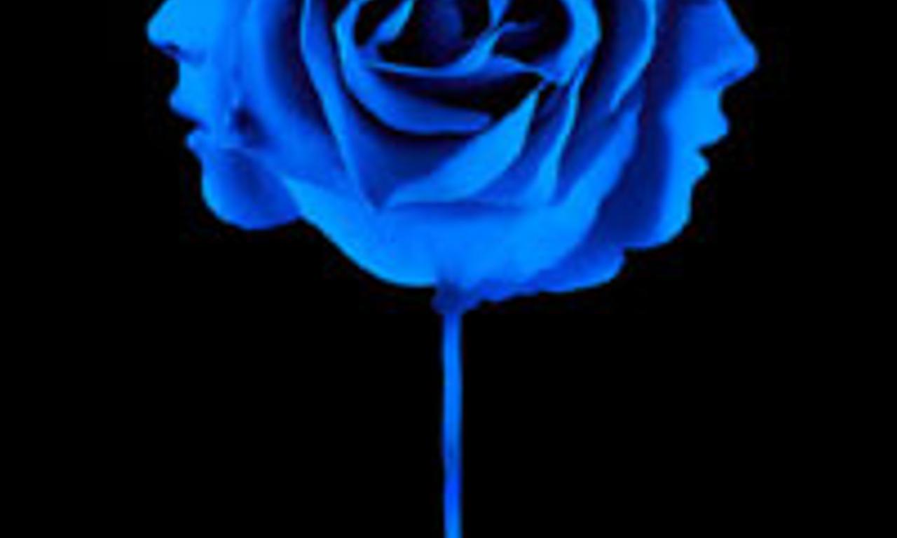 header image for I Know Who Killed Me