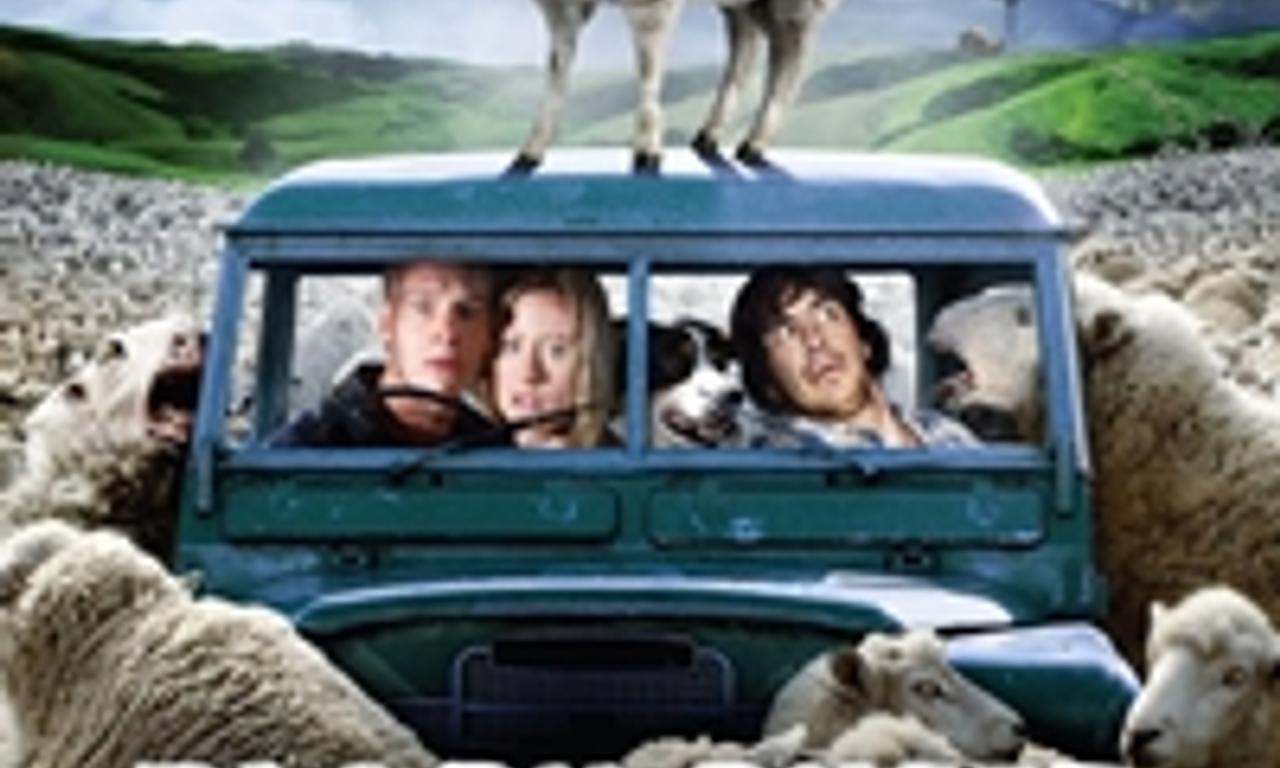 header image for Black Sheep