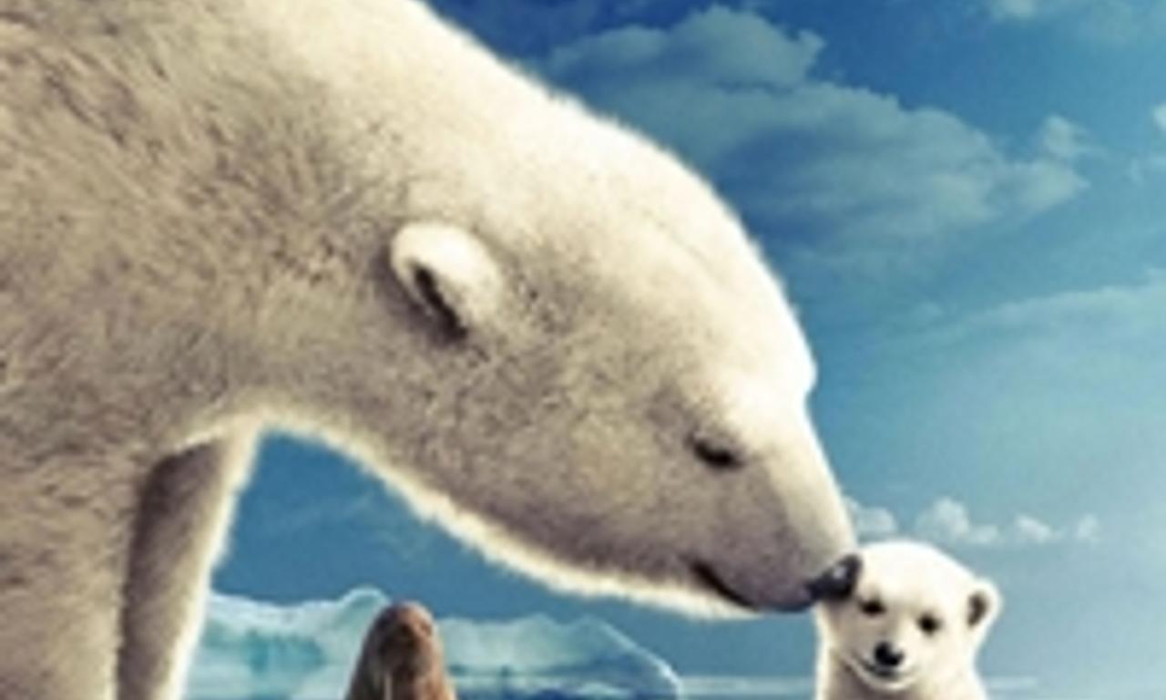 header image for Arctic Tale