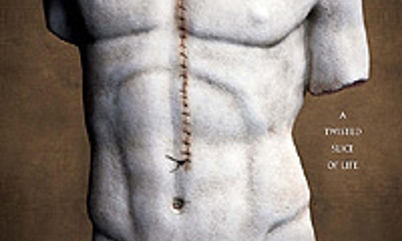 header image for Taxidermia