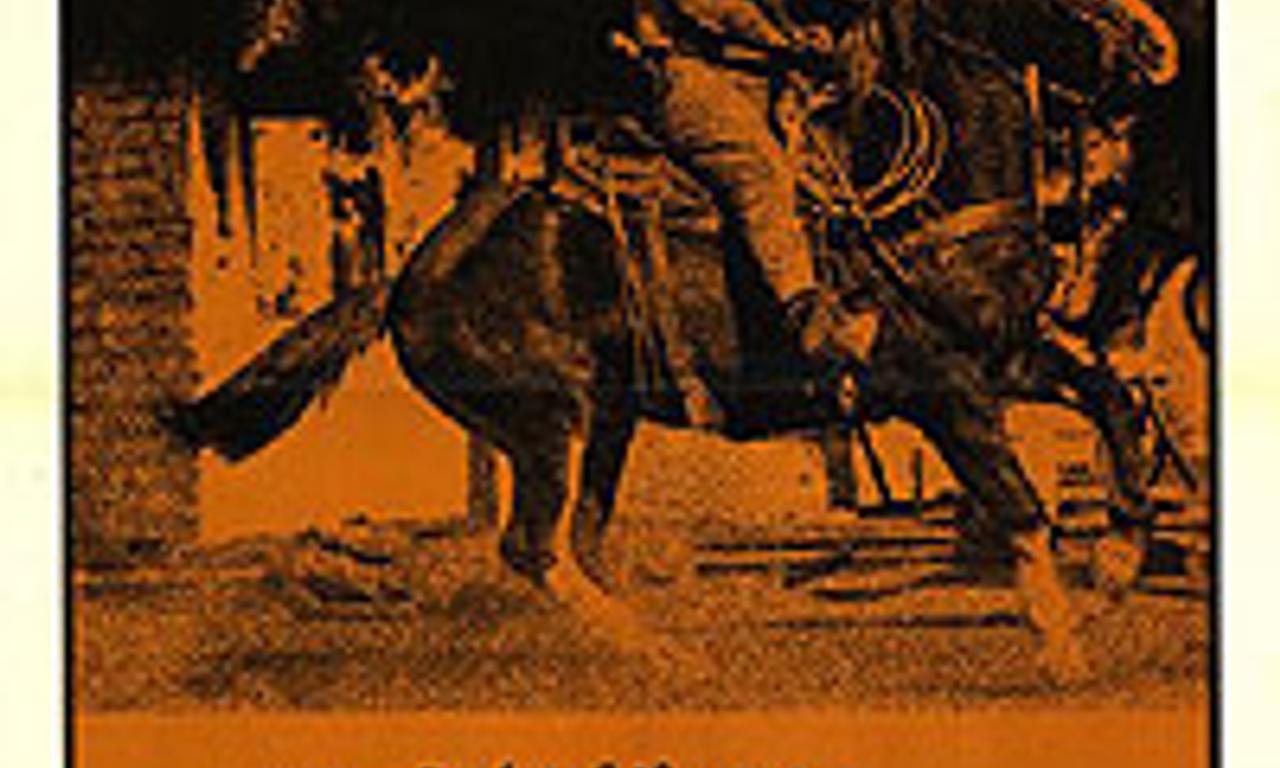 header image for Chisum