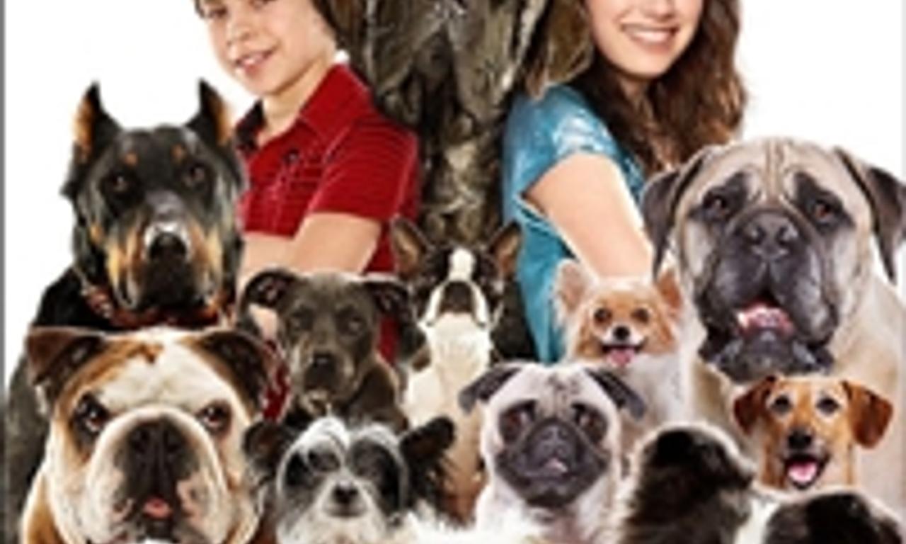 header image for Hotel for Dogs