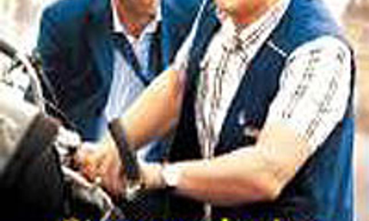 header image for Welcome To The Sticks