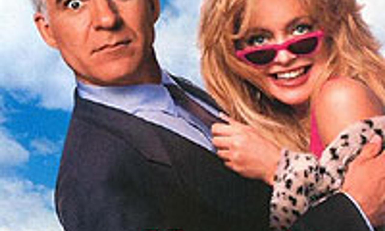 header image for Housesitter