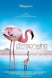 The Crimson Wing: Mystery of the Flamingos