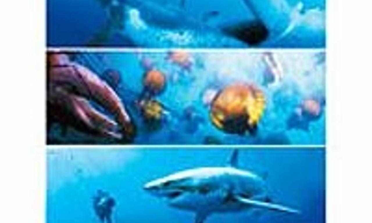 header image for Oceans