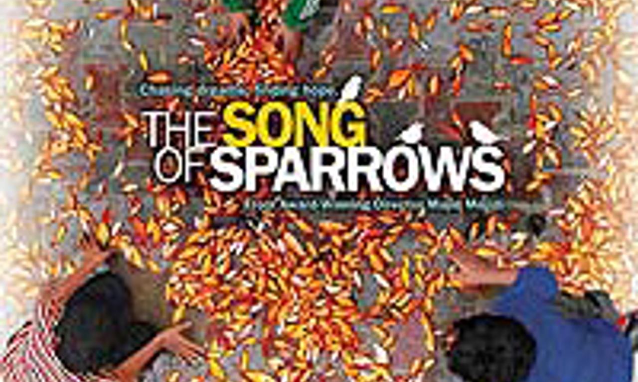 header image for The Song of Sparrows