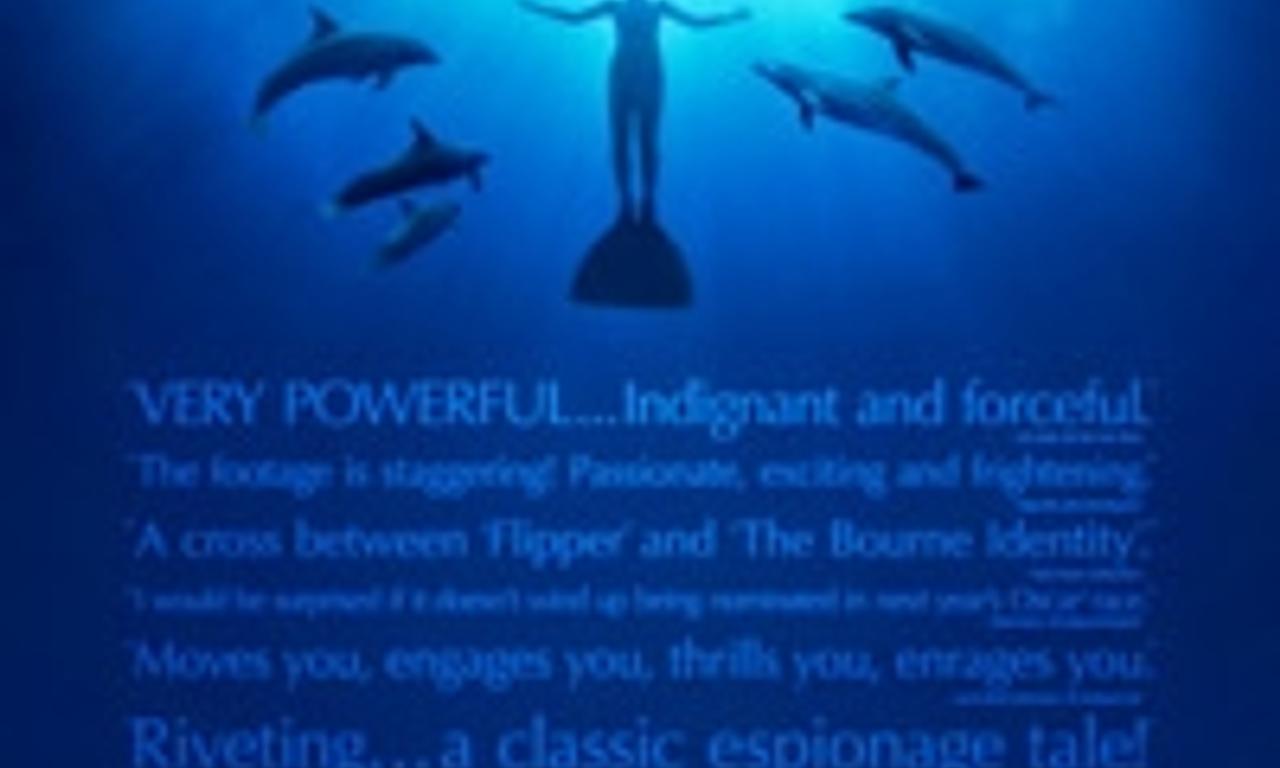 header image for The Cove